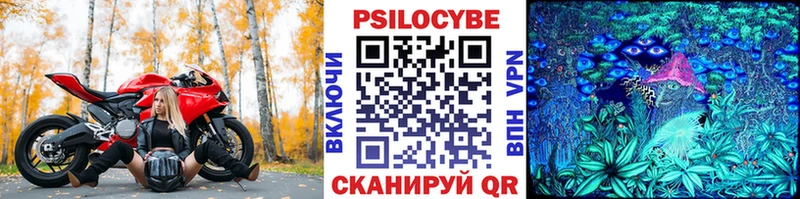 как найти закладки  Тетюши  Псилоцибиновые грибы прущие грибы 