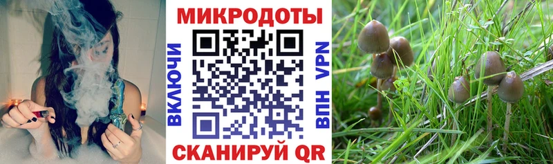 Галлюциногенные грибы мицелий Тетюши
